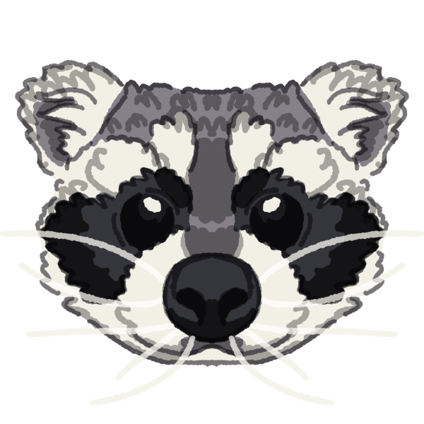 a raccoon with long whiskers, a large black nose, and two thick black stripes. it has shading. 